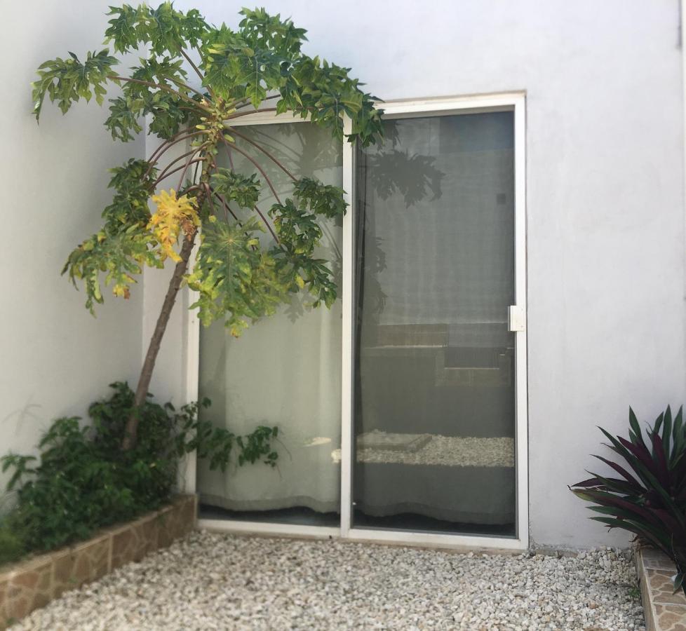 Green Lofts Cancún Esterno foto